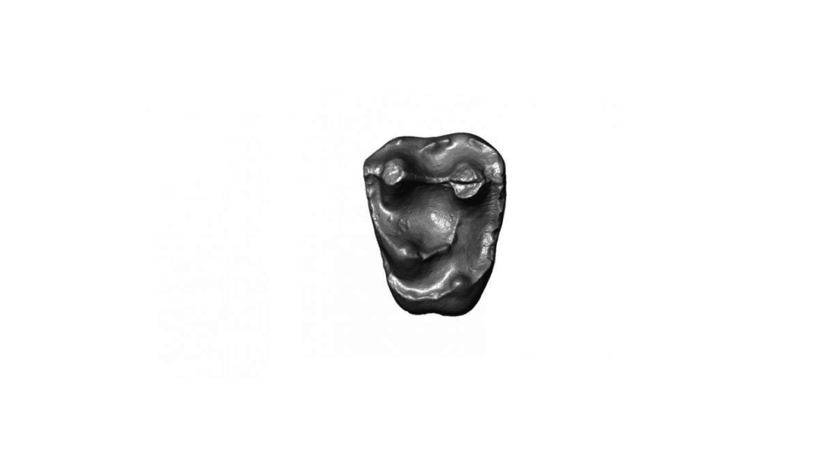 dent singe miniature .png (113.32 Ko)