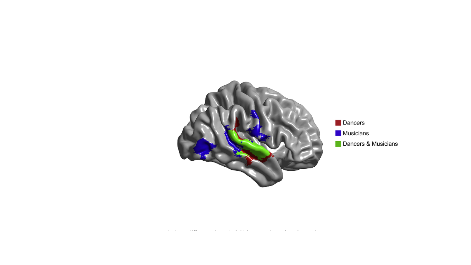 cerveau20.png (177.45 Ko)