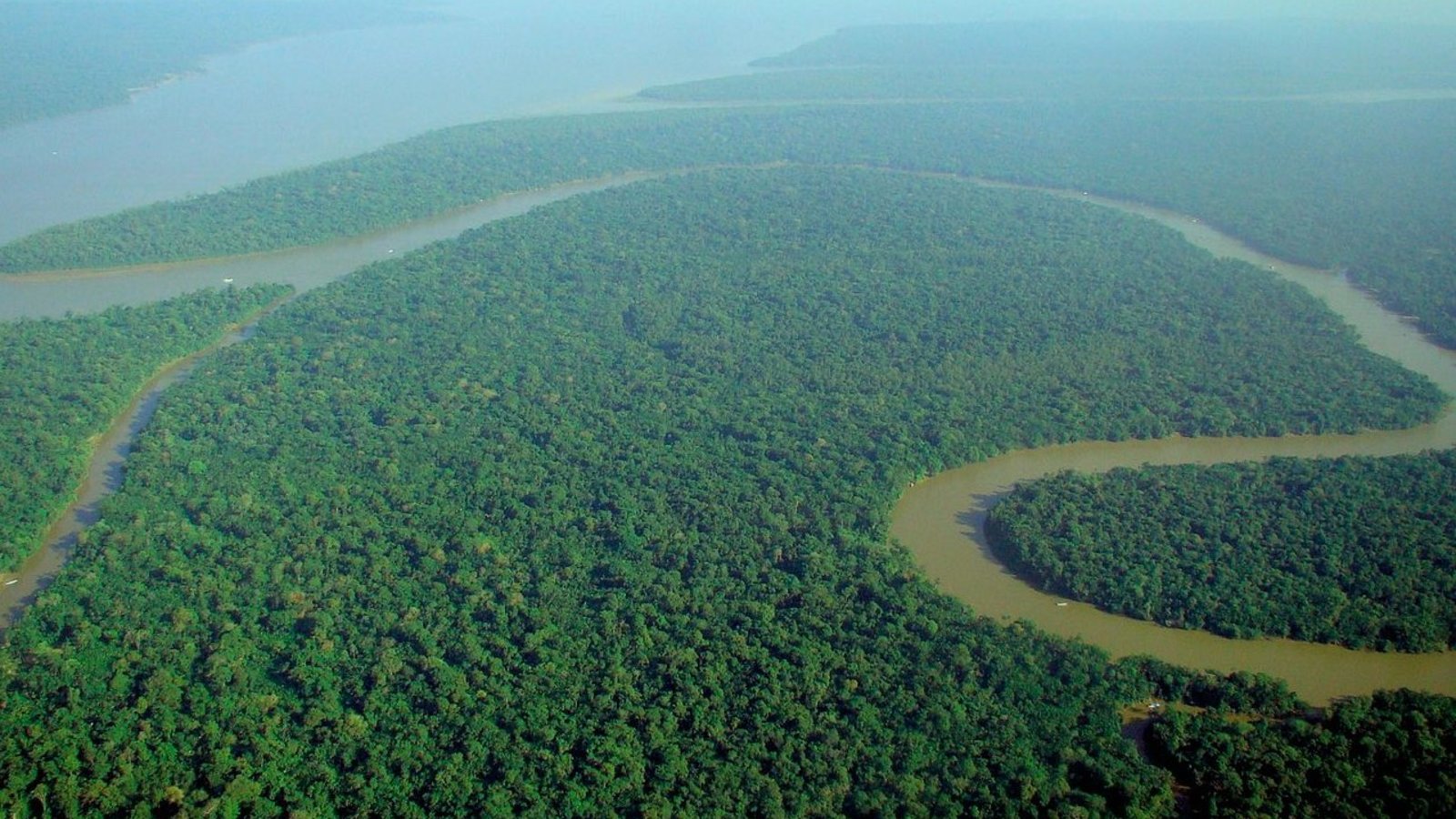Amazonie-vueaerienne
