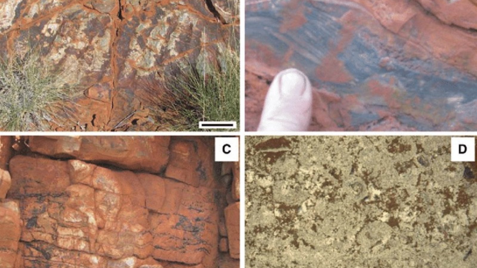 Dresser-Formation-Sedimentary