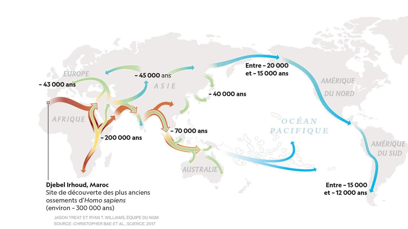 migrations-HomoSapiens