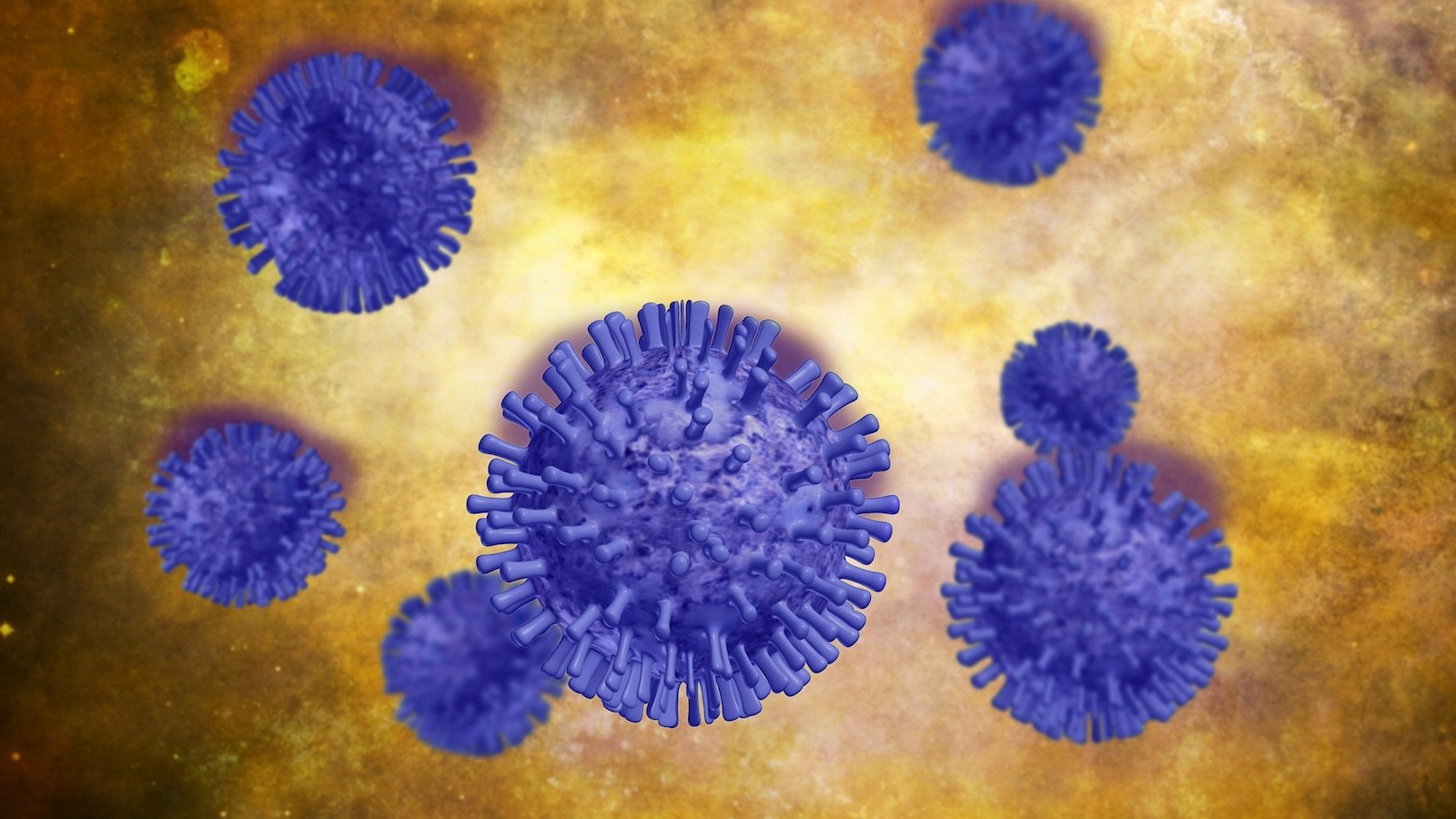 coronavirus