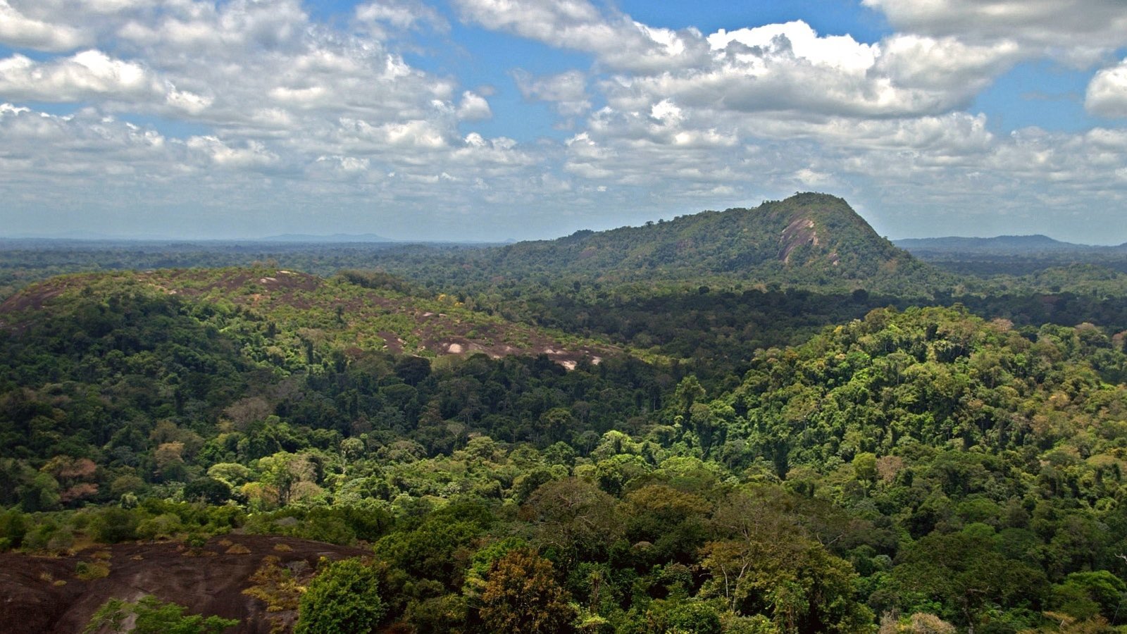 Amazonie-Surinam