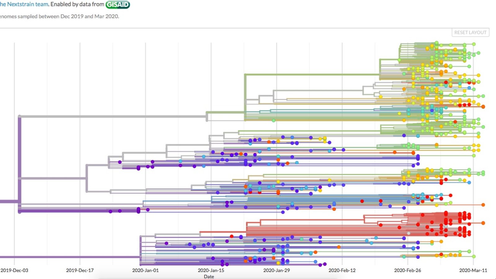 coronavirus-genealogie