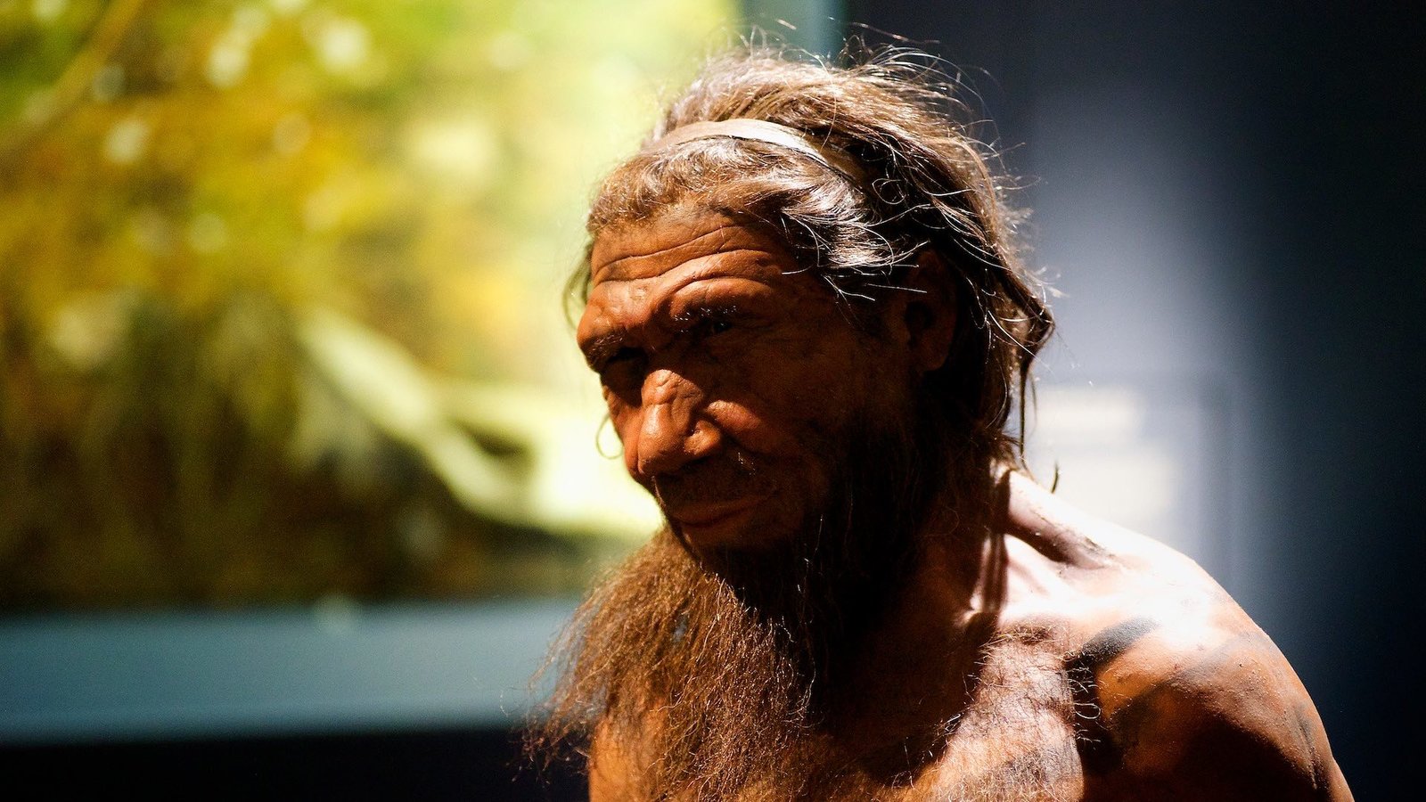 Neandertal-NationalHistoryMuseum