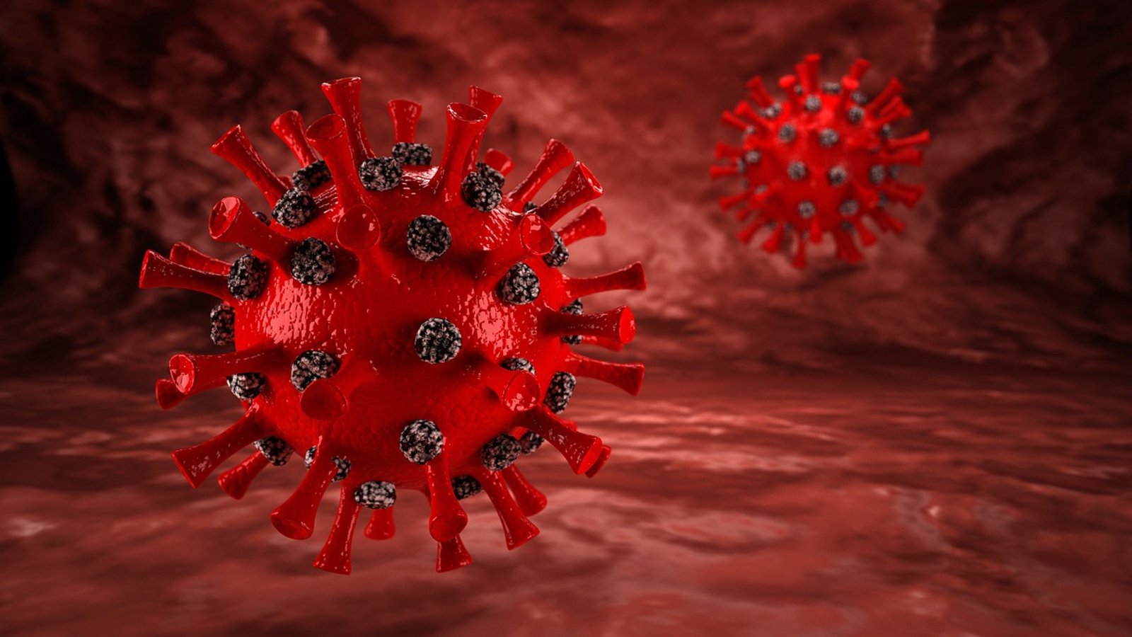 coronavirus-rouge