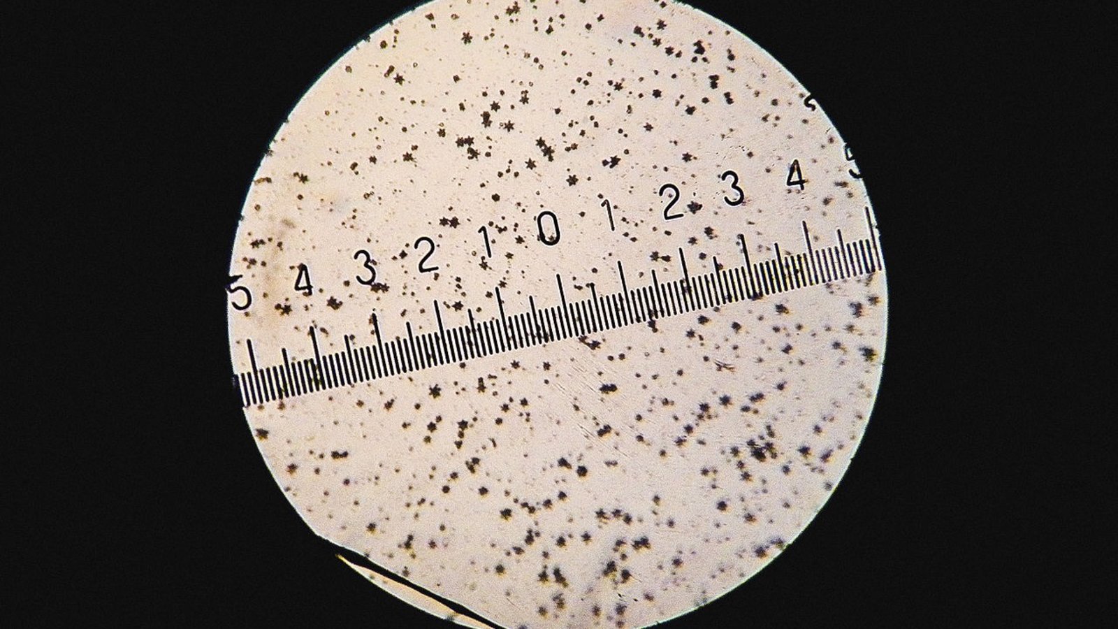 argent-colloidal.jpg