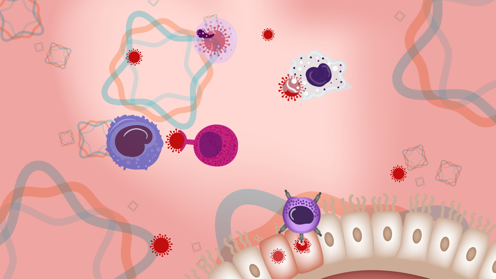 17.Infection-Immunite-BACKGROUND.png