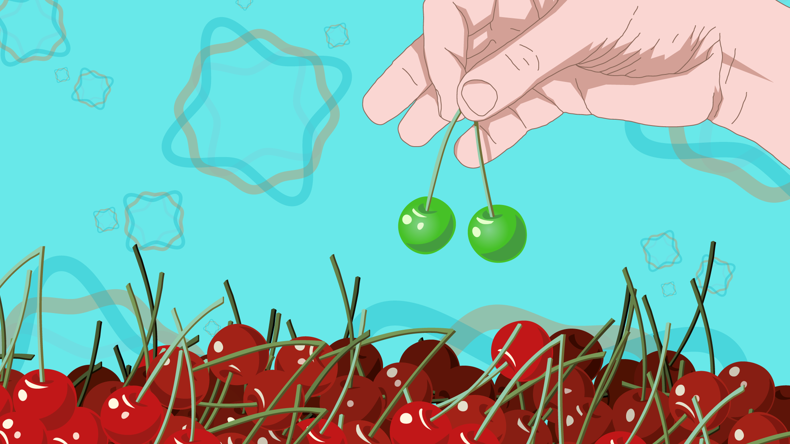 19.cherry-picking-BACKGROUND.png