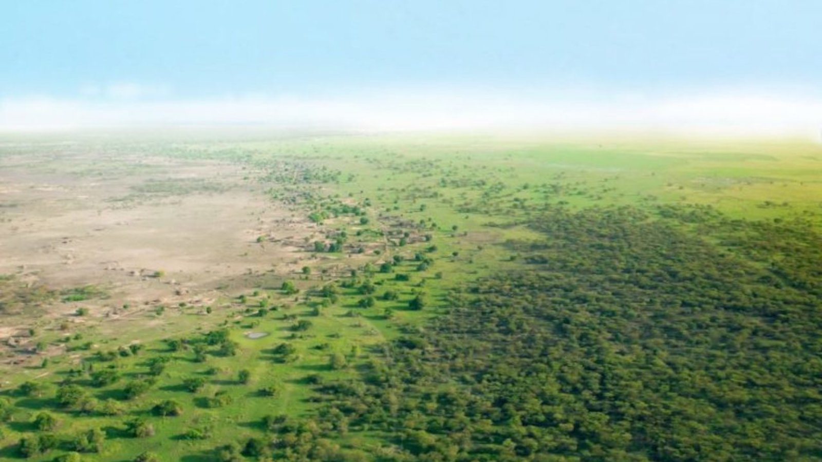 muraille-verte-Afrique.jpg