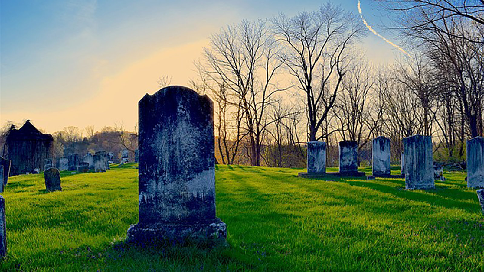 cemetery-2241167_640.jpg