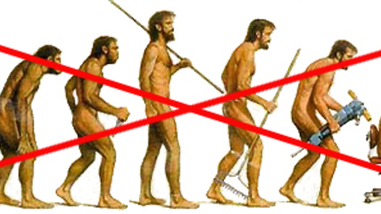 evolution humaine2.jpg