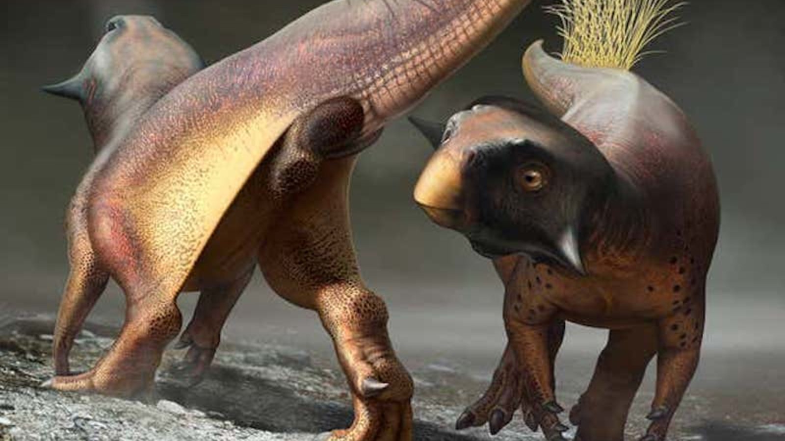 dinosaures-psittacorus.jpg