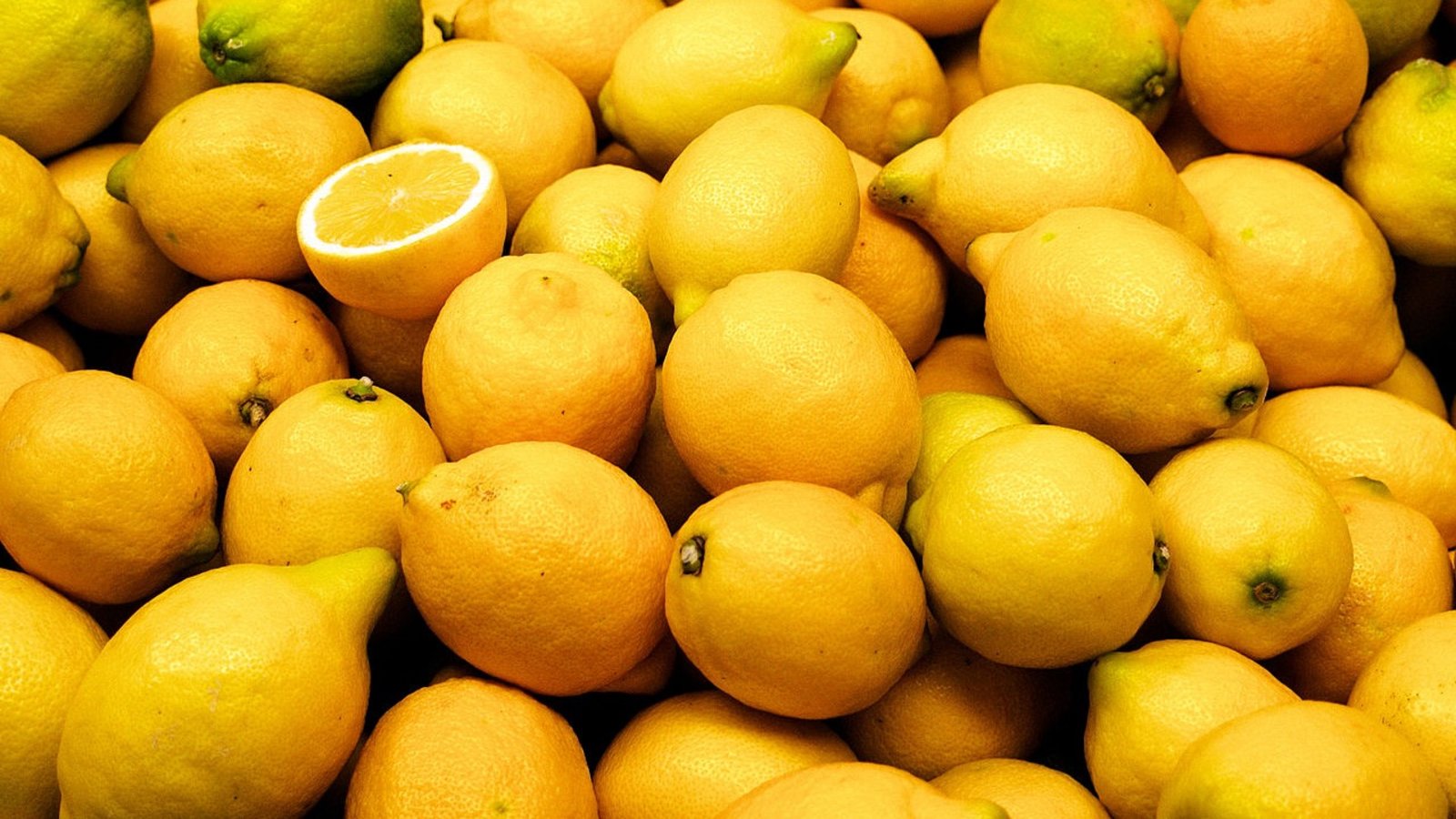 citrons-etalage.jpg