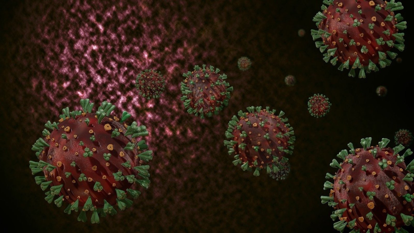 coronaviruses-couleurs.jpg