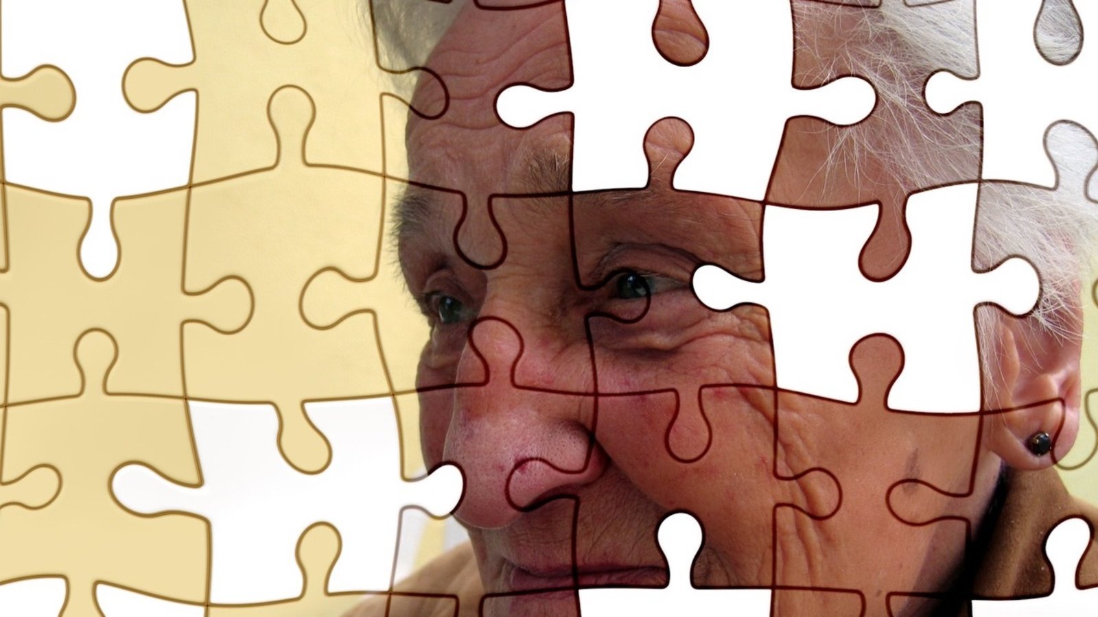 Alzheimer-puzzle.jpg