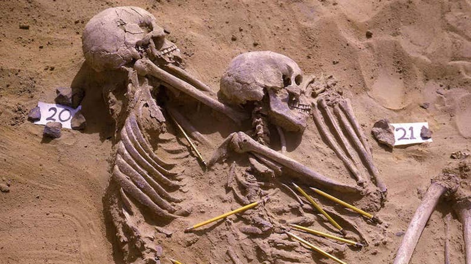 squelettes-Jebel Sahaba-13000-ans.jpg