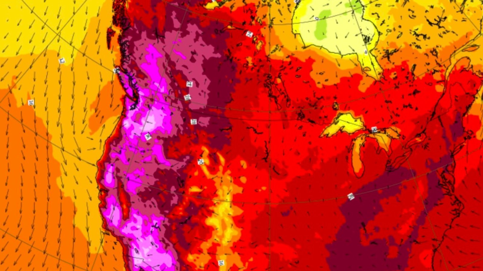 temperature-canicule-juin2021.jpg