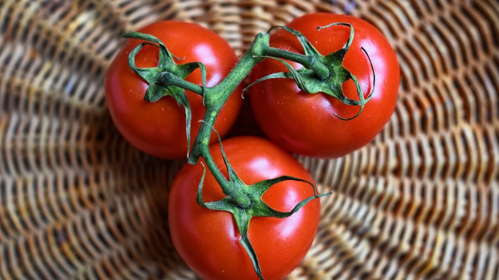 tomates-panier.jpg