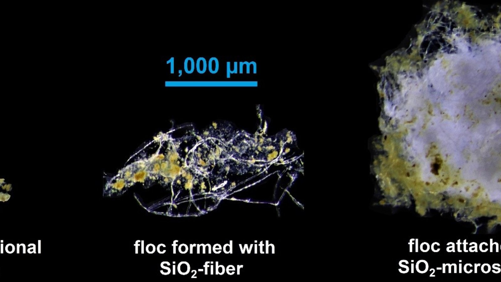 fibres-blogue CQMF.jpg