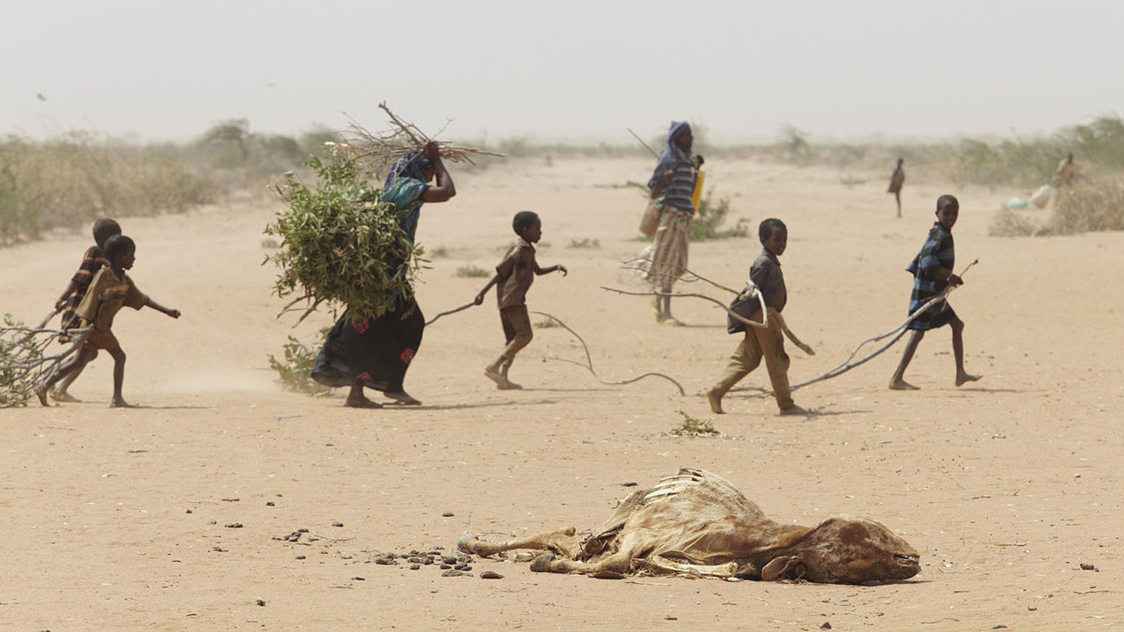 refugies-Afrique-Est.jpg