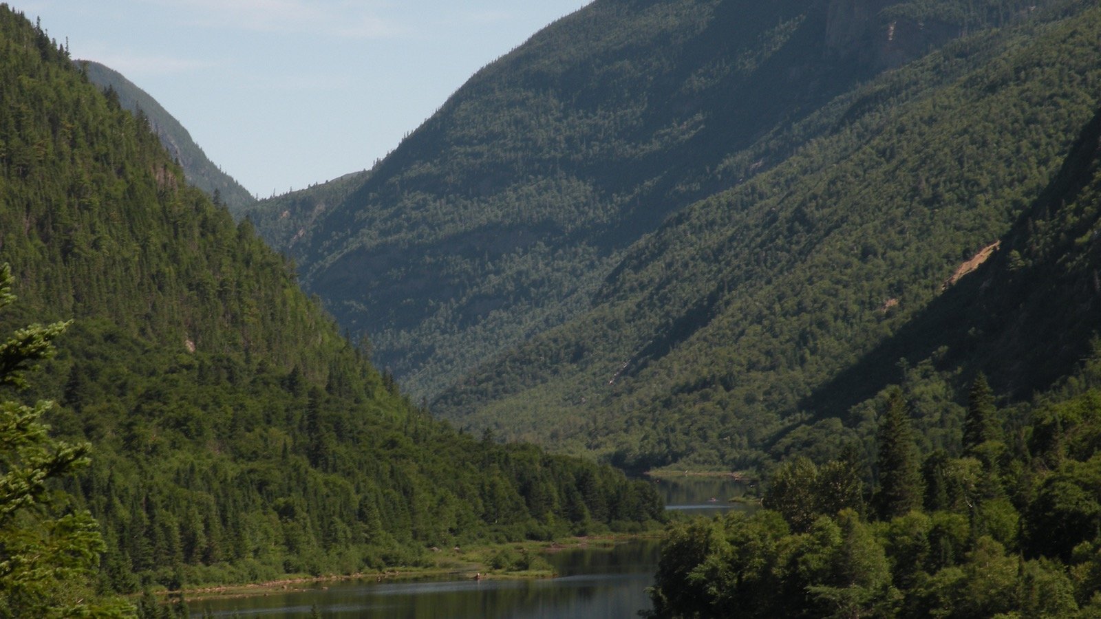 foret-Hautes-Gorges-Riviere-Malbaie.jpg