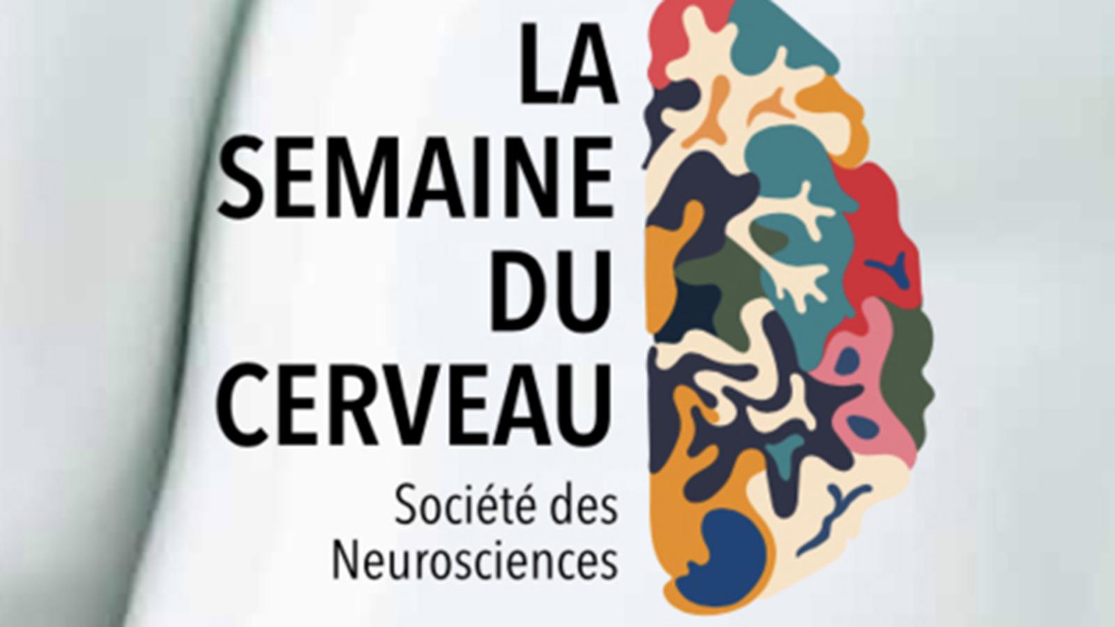 Semaine cerveau.jpg