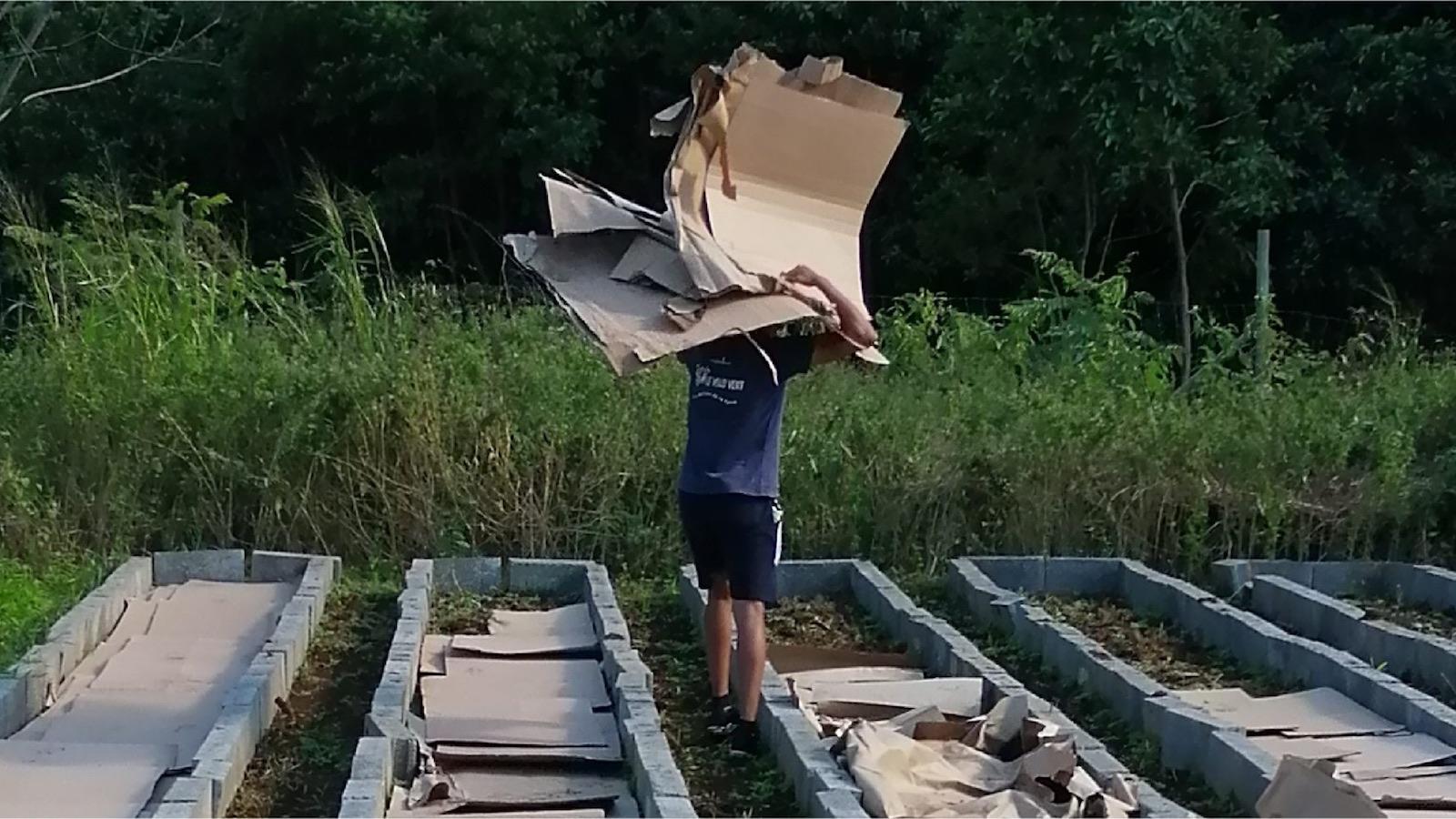 Jardinage: le carton pour se débarrasser des mauvaises herbes? Ça dépend