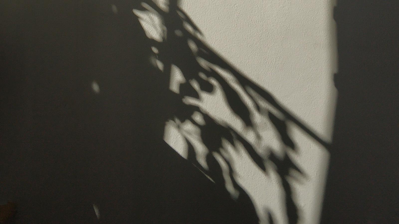 ombres-fenetres.jpg