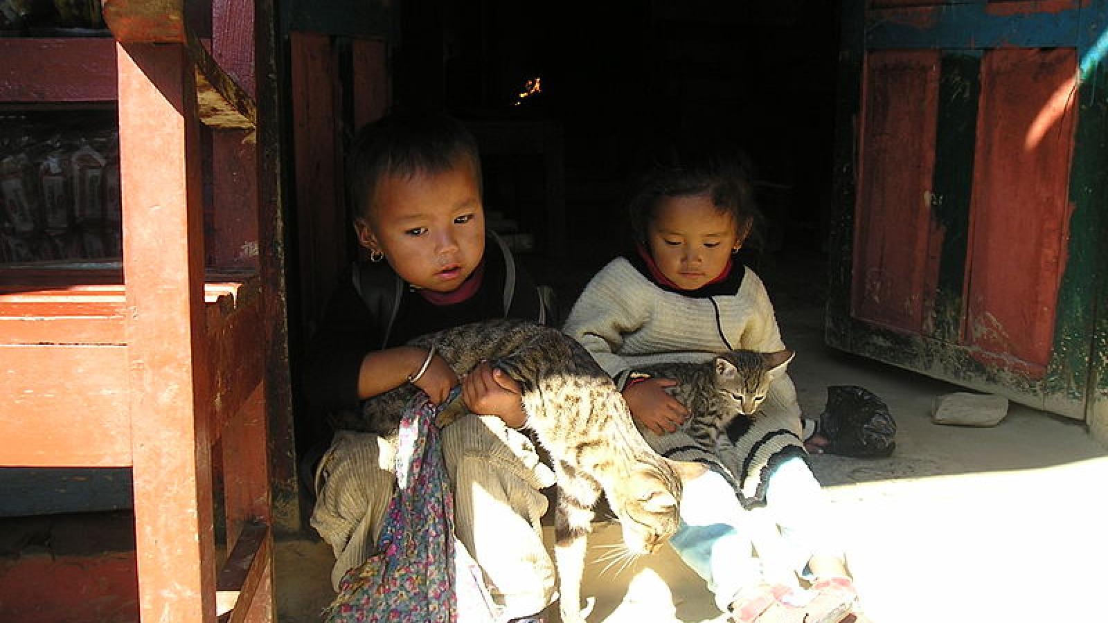 Jeunes enfants népalais jouant avec des chats