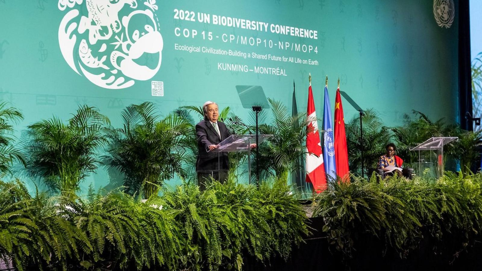 COP15-biodiversite-Montreal.jpg