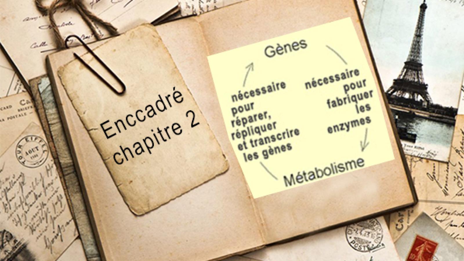 Encadré chapitre 2.jpg