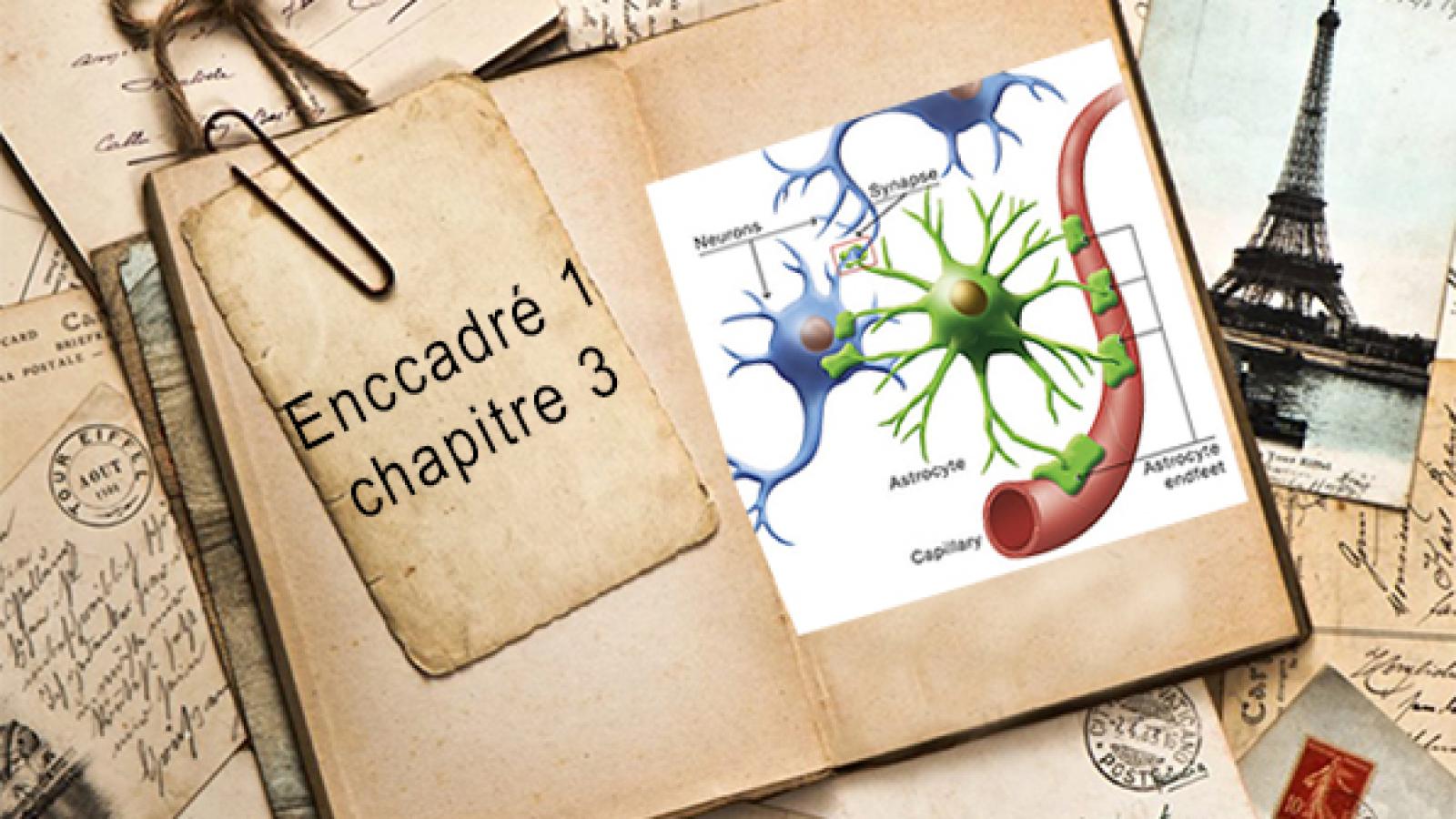 Encadré1 chapitre 3.jpg