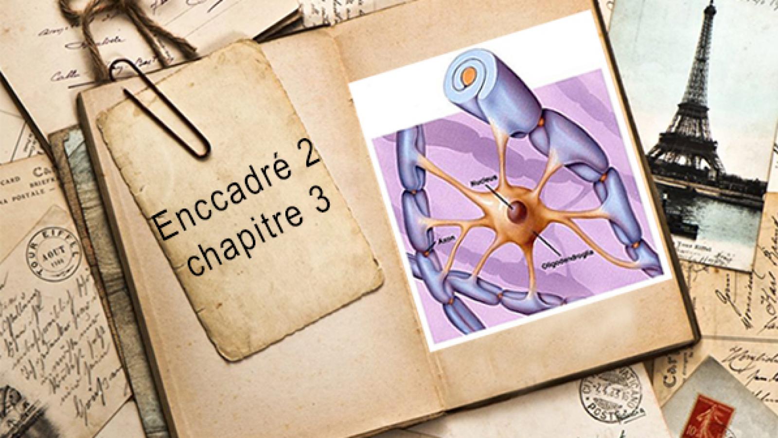 Encadré2 chapitre 3.jpg