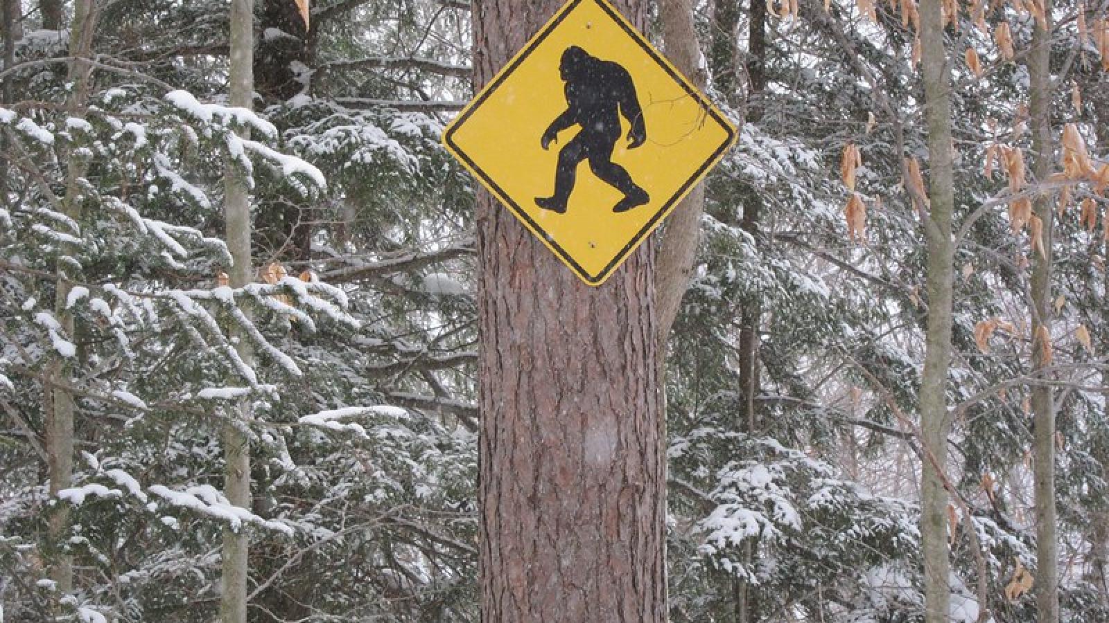 Panneau de signalisation Bigfoot affiché sur un arbre dans une forêt du Vermont