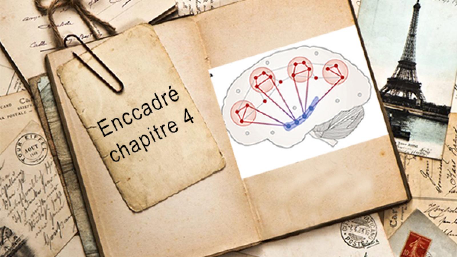 Encadré chapitre 4.jpg