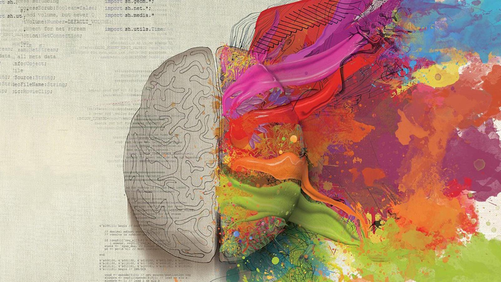 brain-g347ee524a_1920.jpg