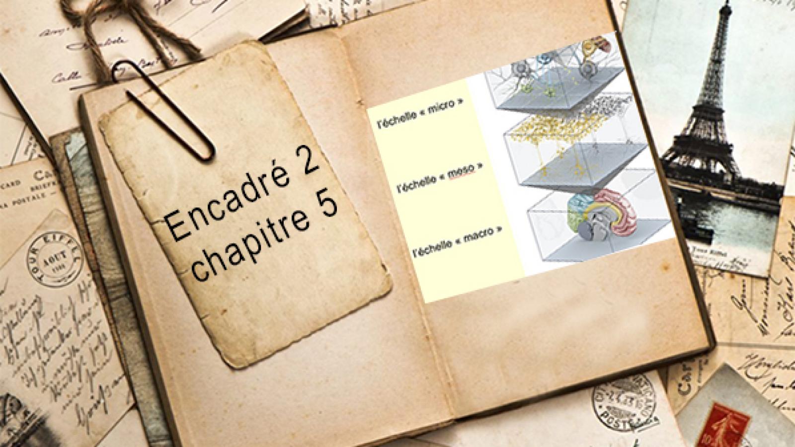 Encadré chapitre 5 #2.jpg