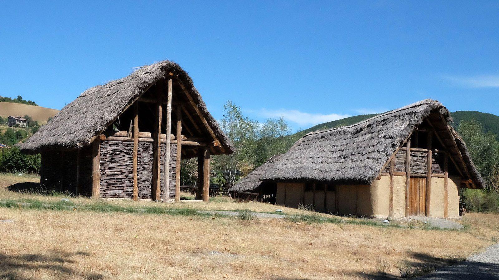 neolithique-village-Travo.jpg