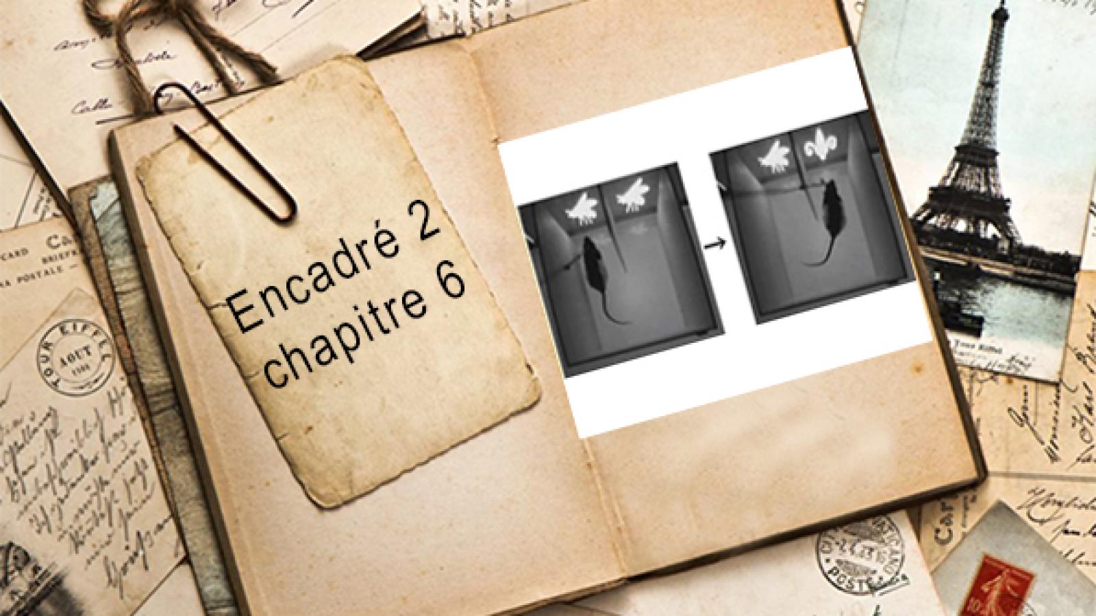 Encadré chapitre 6 #2.jpg
