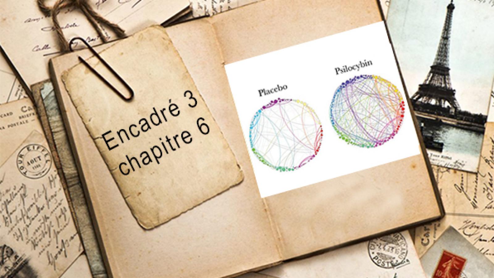 Encadré chapitre 6 #3.jpg