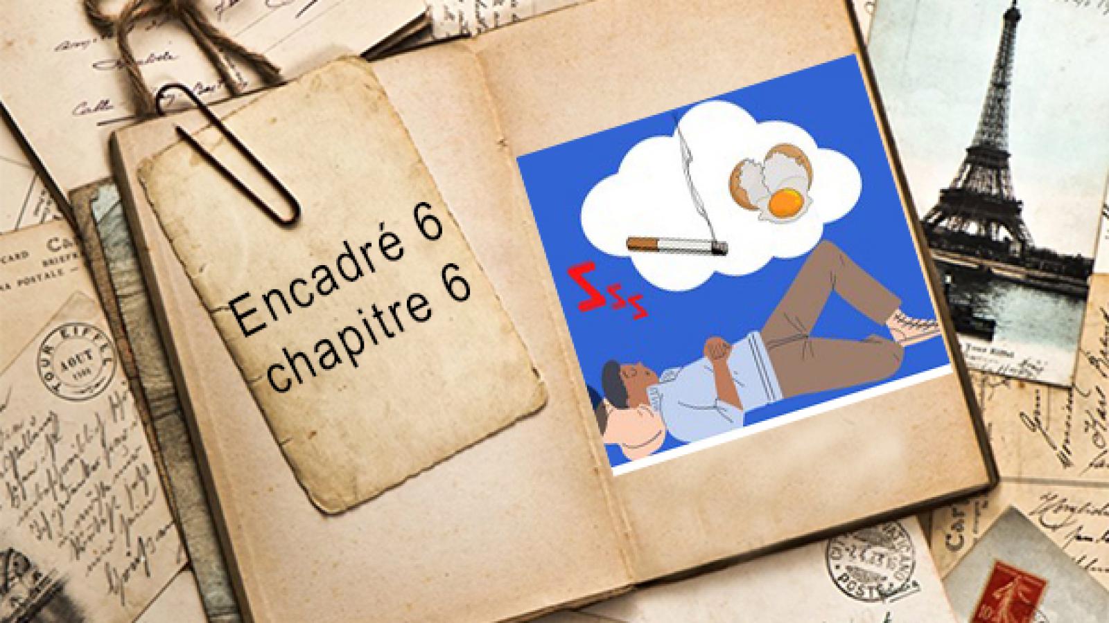 Encadré chapitre 6 #6.jpg