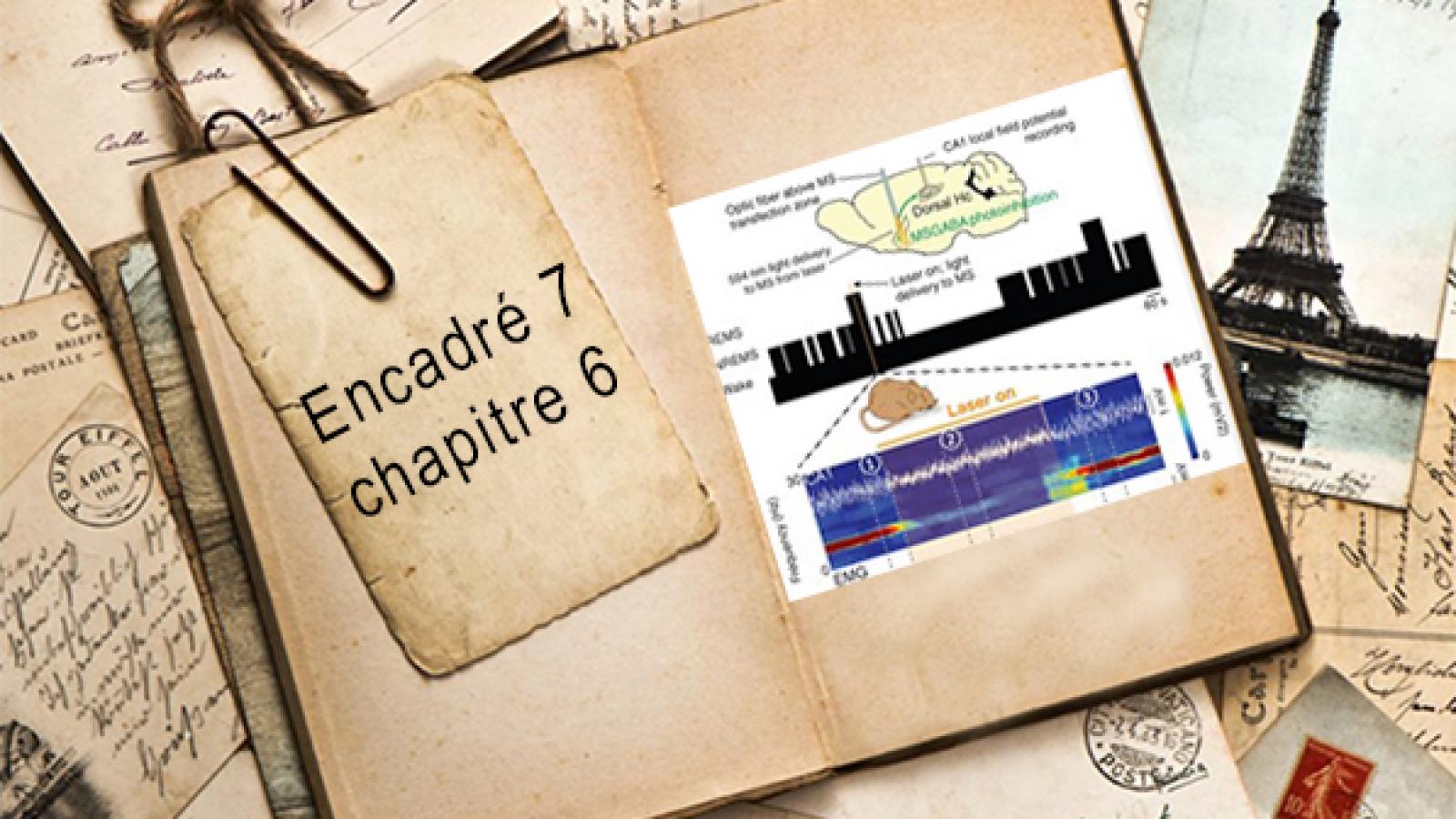 Encadré chapitre 6 #7.jpg