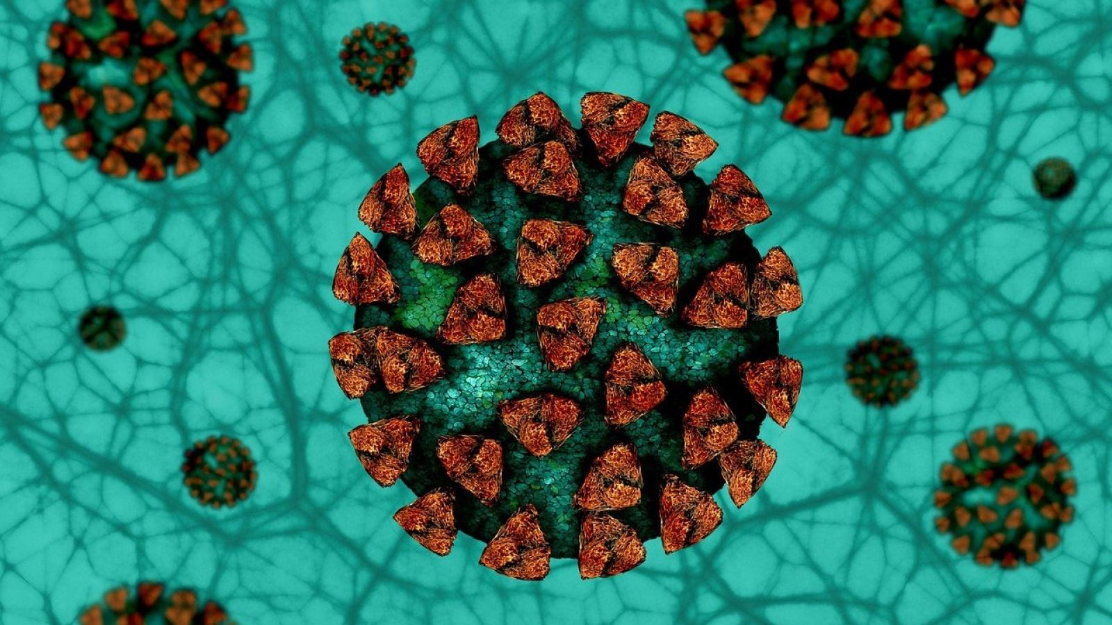 coronavirus-fond-vert.jpg