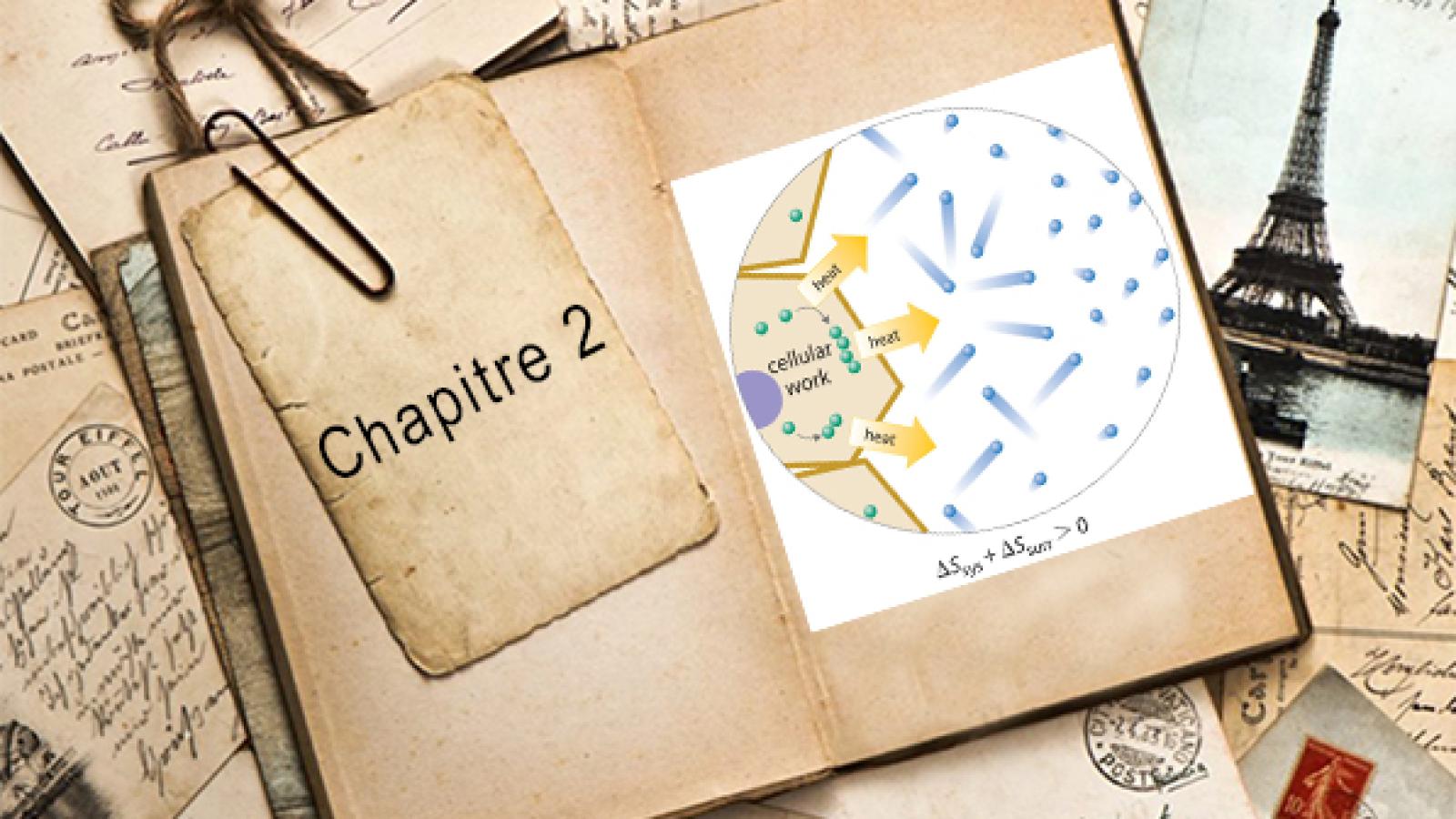 Entropie (chap 2).jpg