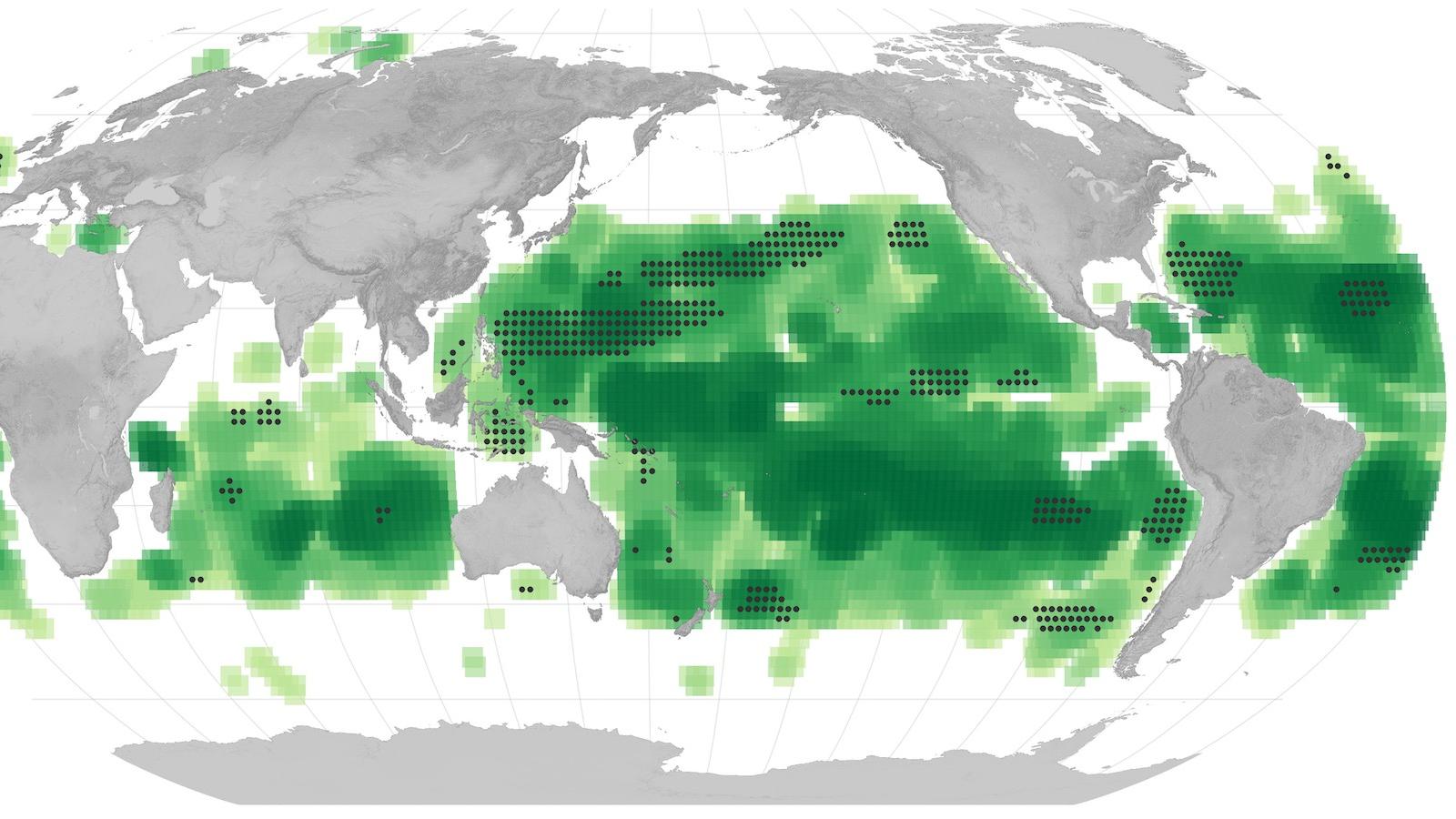 oceans-vert-2023.jpg