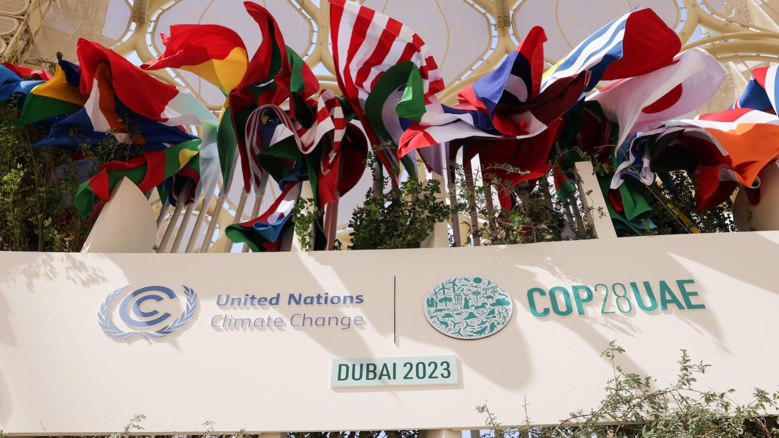 COP28-drapeaux.jpg