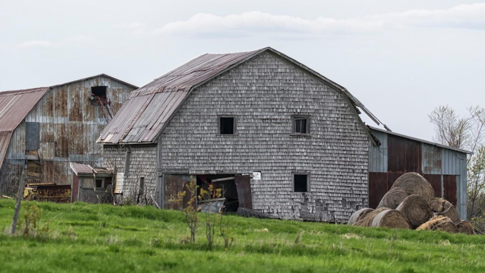 ferme-grange-Estrie.jpg