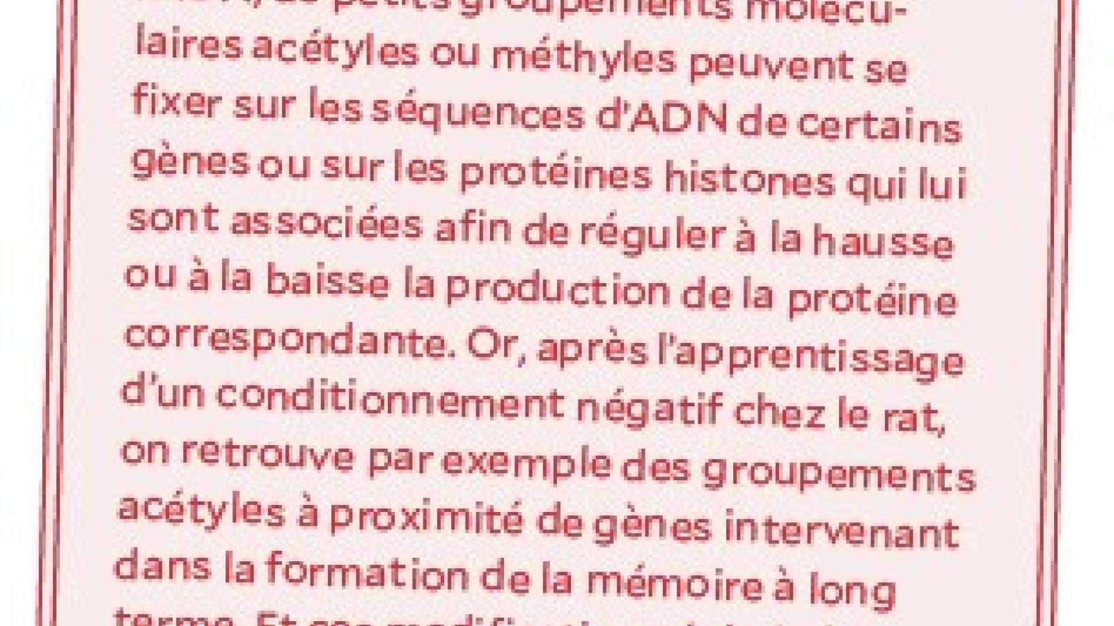 encadré avancé.jpg