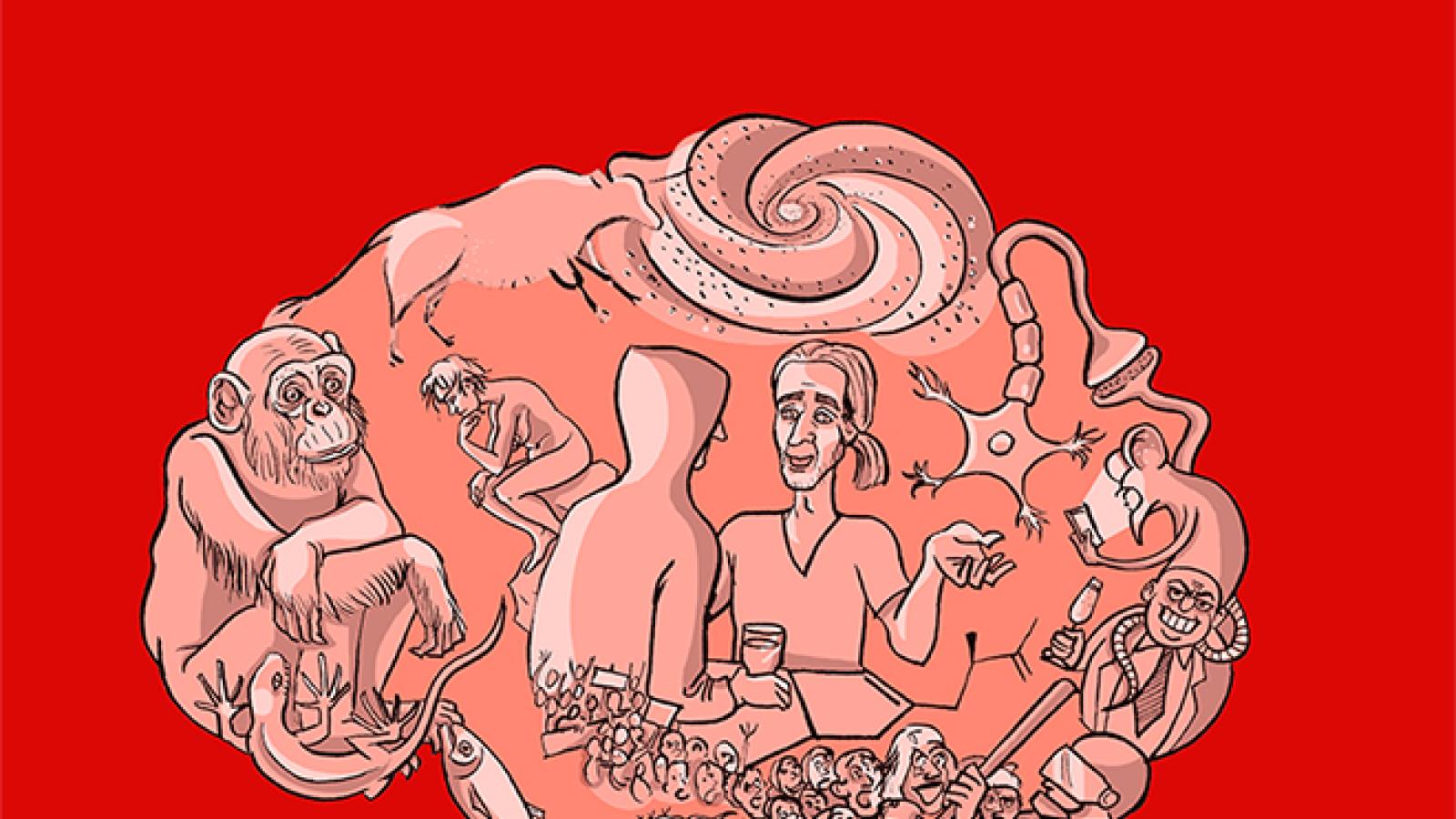 Cerveau couv 24-07-08c - caviardé + petit.jpg